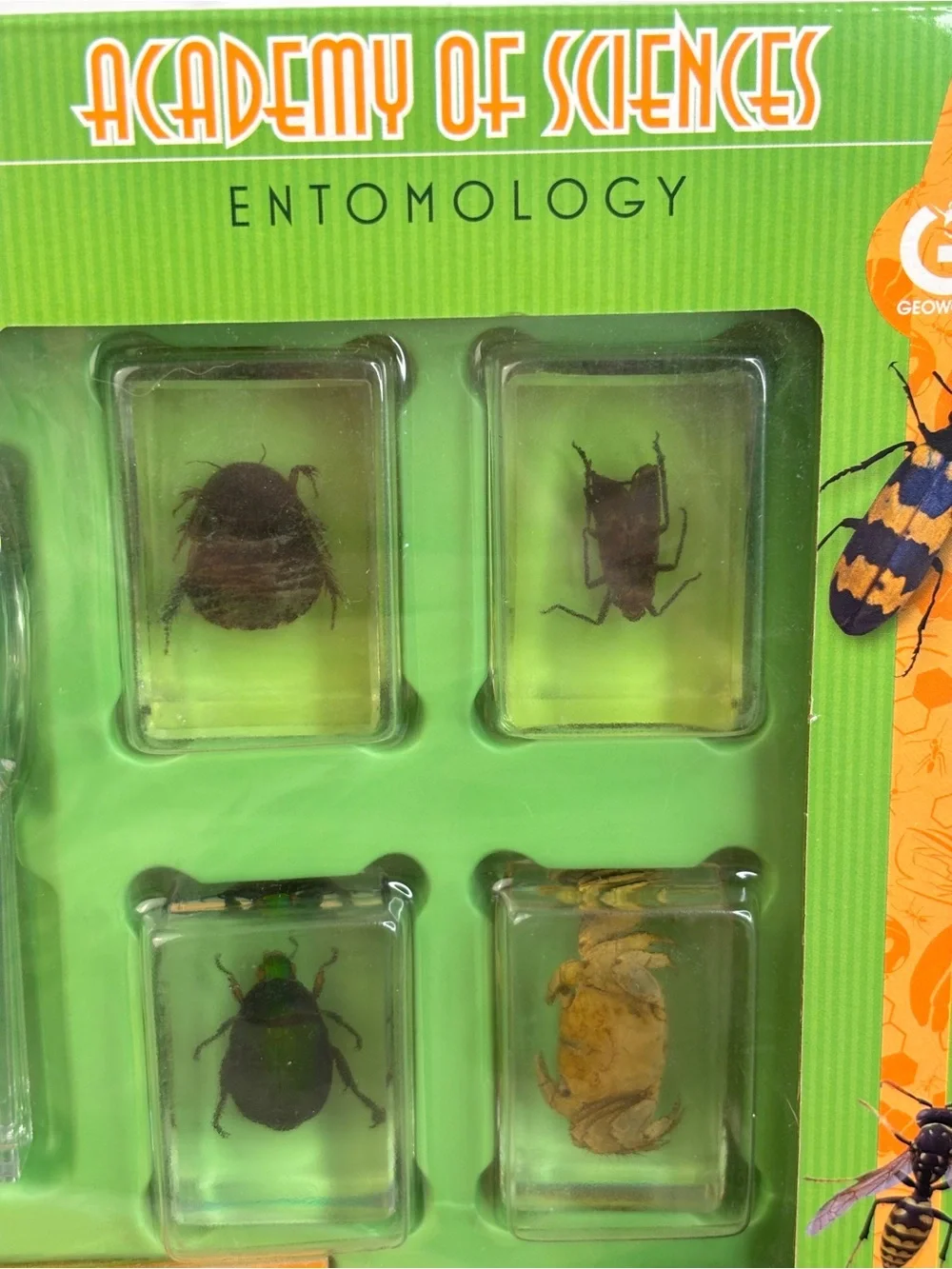 Dr. Steve Hunters Bug's World Collection - Entomology Set NEW!